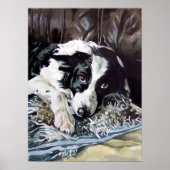 Border Collie Poster (Vorne)