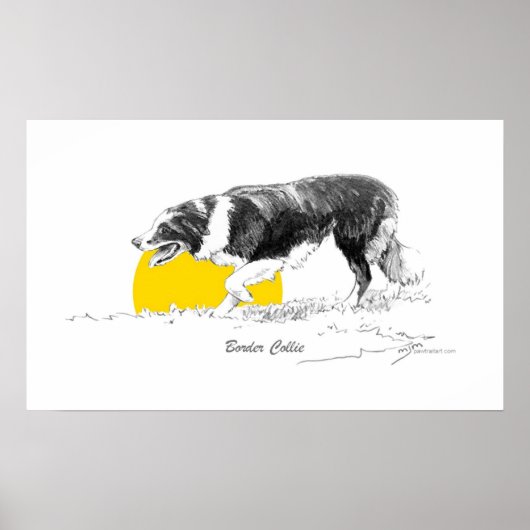Border Collie Poster (Vorne)