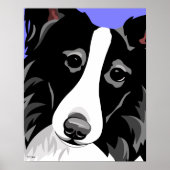 Border Collie Posters Poster (Vorne)