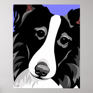 Border Collie Posters Poster