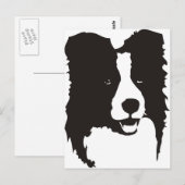 Border Collie Postkarte (Vorne/Hinten)