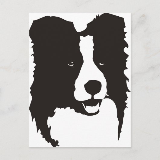 Border Collie Postkarte (Vorderseite)