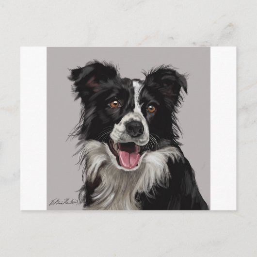 Border Collie Postkarte (Vorderseite)