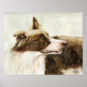"Border Collie Profile" Art Reproduction Print Poster