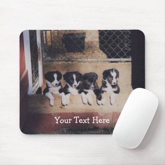 Border Collie Puppies Dog Mousepad (Mit Mouse)