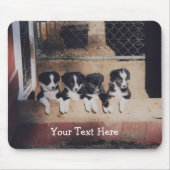 Border Collie Puppies Dog Mousepad (Vorne)