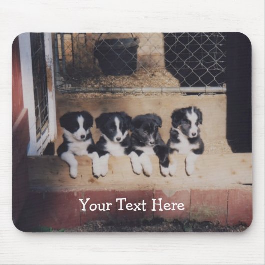 Border Collie Puppies Dog Mousepad (Vorne)