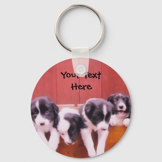 Border Collie Puppies In Drawer Keychain Schlüsselanhänger (Vorderseite)