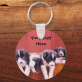Border Collie Puppies In Drawer Keychain Schlüsselanhänger (Vorderseite)