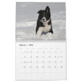 Border Collie Puppies Mauerkalender Kalender (Feb 2026)