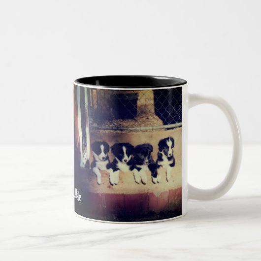 Border Collie Puppies Personalisiert Zweifarbige Tasse (Rechts)
