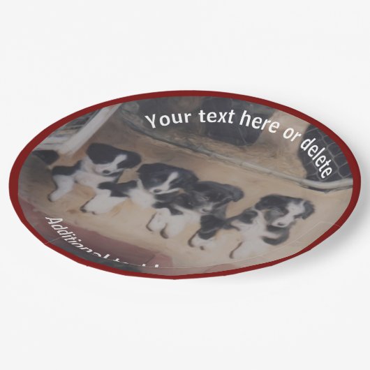 Border Collie Puppies Personalisiertes Party Pappteller (Schrägansicht)