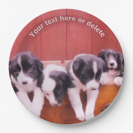 Border Collie Puppies Personalisiertes Party Pappteller (Vorderseite)