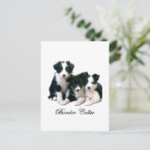 Border Collie Puppies Postkarte (Stehend Vorderseite)