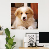 Border Collie Puppy~Golden Oz Red Poster (Heimbüro)