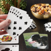 Border Collie Puppy Laying Down Spielkarten (In Situ)