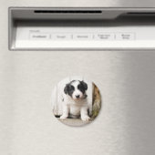 Border Collie Puppy Magnet (In Situ (Geschirrspüler))