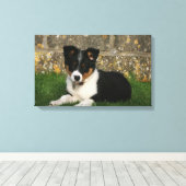 Border Collie Puppy mit Leaf im Mund Leinwanddruck (Insitu (Holzboden))