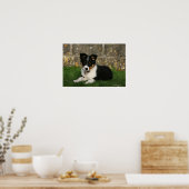 Border Collie Puppy mit Leaf im Mund Poster (Küche)