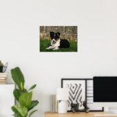 Border Collie Puppy mit Leaf im Mund Poster (Heimbüro)