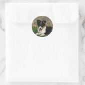 Border Collie Puppy mit Leaf im Mund Runder Aufkleber (Tasche)