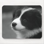 Border Collie Puppy Mousepad (Vorne)