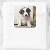 Border Collie Puppy Quadratischer Aufkleber (Tasche)