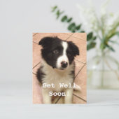 Border Collie Puppy wird gut Postkarte (Stehend Vorderseite)