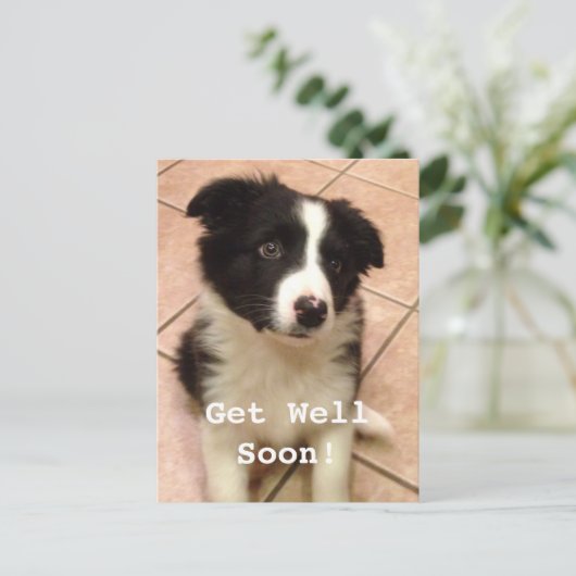 Border Collie Puppy wird gut Postkarte (Stehend Vorderseite)