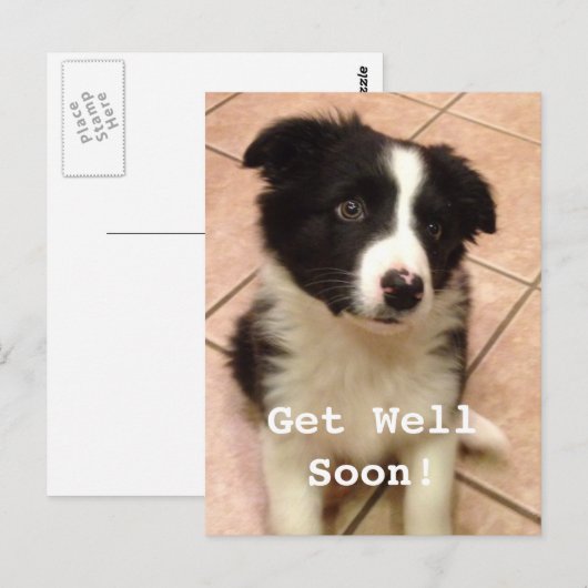 Border Collie Puppy wird gut Postkarte (Vorne/Hinten)