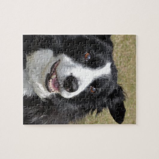 Border Collie Puzzle (Horizontal)