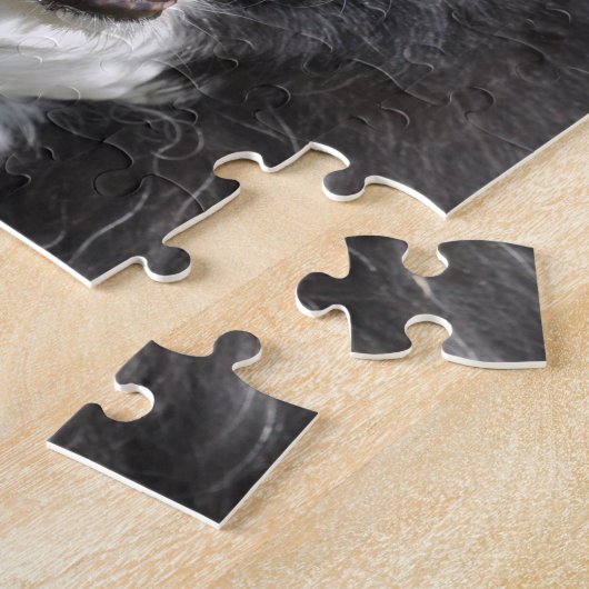 Border Collie Puzzle (Seite)