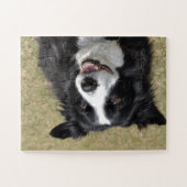 Border Collie Puzzle (Horizontal)