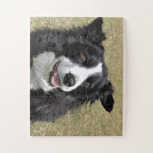 Border Collie Puzzle (Vertikal)