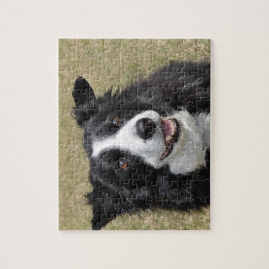 Border Collie Puzzle (Vertikal)
