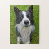 Border Collie Puzzle (Vertikal)