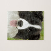 Border Collie Puzzle (Horizontal)