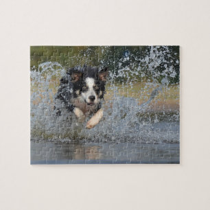 Border Collie Puzzle