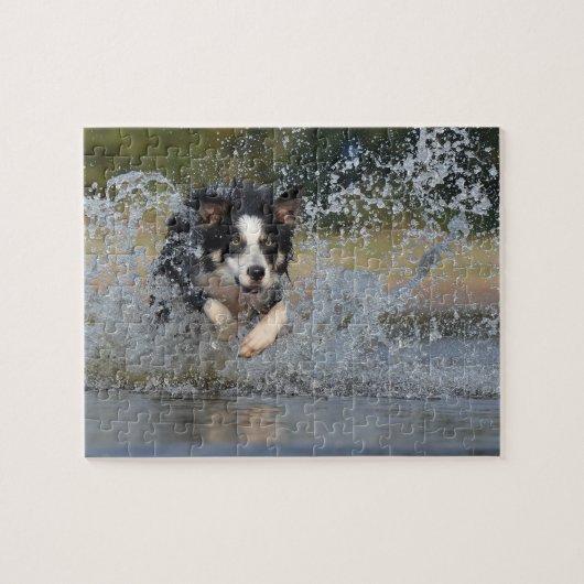Border Collie Puzzle (Horizontal)