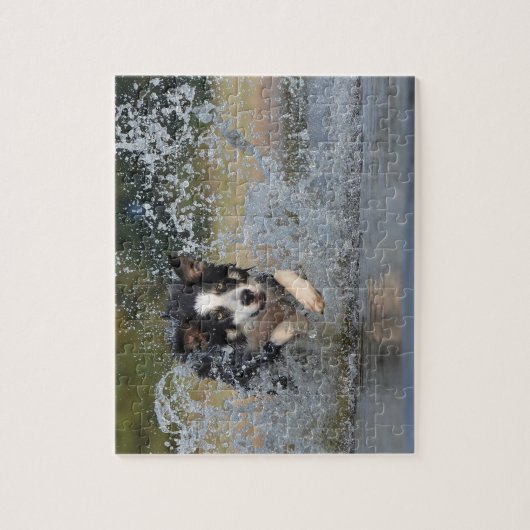 Border Collie Puzzle (Vertikal)