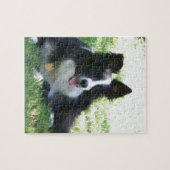 Border-Collie Puzzle (Horizontal)