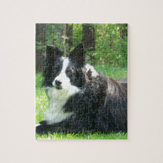 Border-Collie Puzzle (Vertikal)