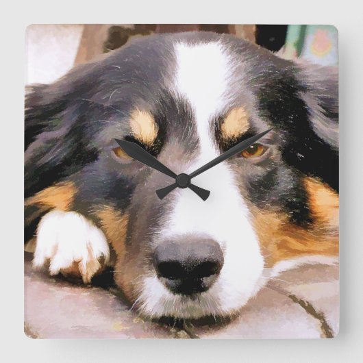 BORDER COLLIE QUADRATISCHE WANDUHR (Vorderseite)