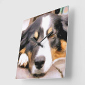 BORDER COLLIE QUADRATISCHE WANDUHR (Winkel)