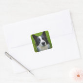 Border Collie Quadratischer Aufkleber (Umschlag)