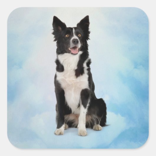 Border Collie Quadratischer Aufkleber (Vorderseite)