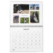 Border Collie Rescue 2008 Kalender (Mär 2027)