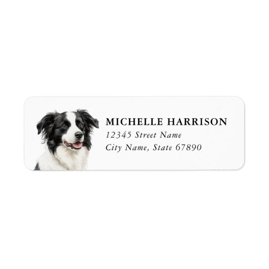 Border Collie Rücksendeadressetiketten (Vorne)