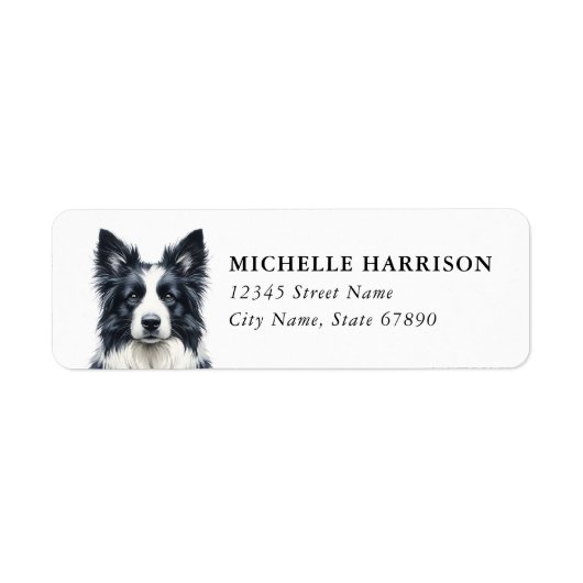 Border Collie Rücksendeadressetiketten (Vorne)