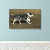 Border Collie Running 1 Leinwanddruck (Insitu (Holzboden))